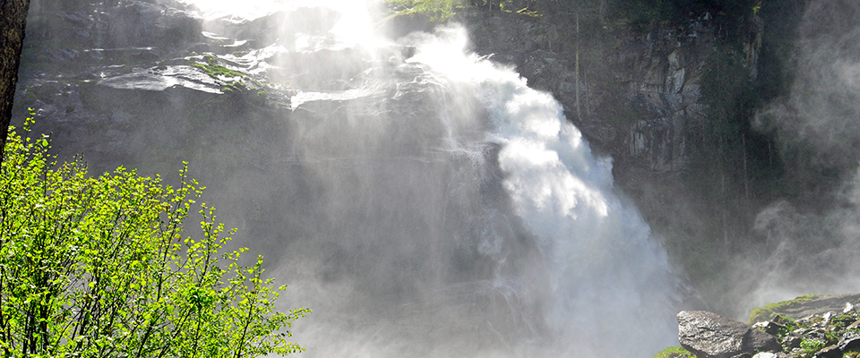 06_header.jpg